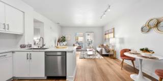 The Elinor Gallery 31