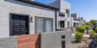 Lion Tempe Gallery 30