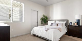 Acero at the Stadium Gallery 8