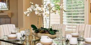 55120 Tanglewood Gallery 25