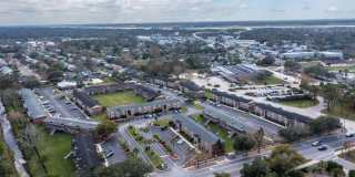 Sea Oats Sea Oats Gallery 16