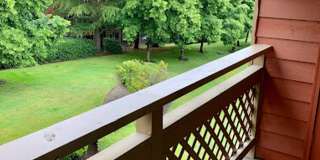 Homestead Apartments Gallery 14