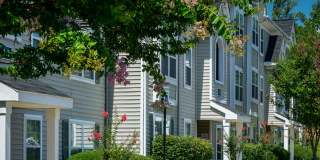 Arbor Grove Gallery 31