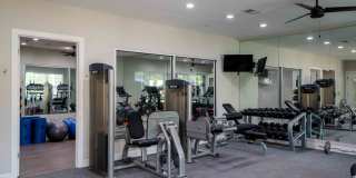 Oasis at Montclair Gallery 22