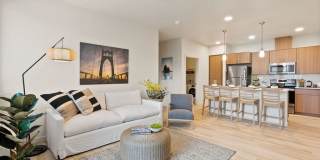 Meritum Evergreen Gallery 11