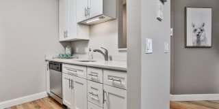 The Apartments at Cranmore Ridge Gallery 10
