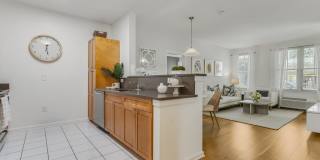 Pier Village Gallery 14