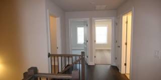 1329 Rosen Road Gallery 12