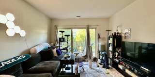 4 Repton Cir. Gallery 1