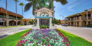 227 LYCHEE ROAD Gallery 27