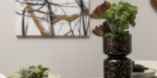 River Oaks Landing Gallery 23