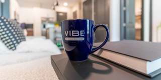 Vibe at Echo Street West Gallery 19