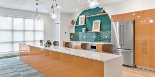 The Kavista Gallery 17