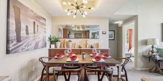 Venicia Gallery 76