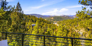 4475 Forest Trail Gallery 47