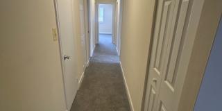 Hewitt Gardens Gallery 54