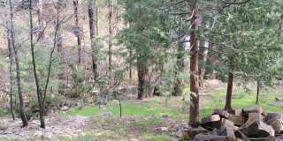 922 Berne Dr Gallery 19