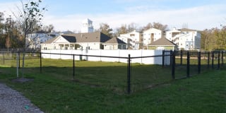 Carillon Woods Gallery 31