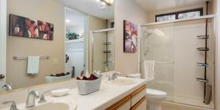 28914 Desert Princess Drive Gallery 13