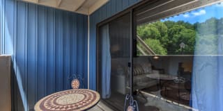 Walden Pond Gallery 40