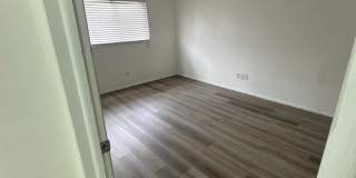 2345 Stace Street Gallery 8