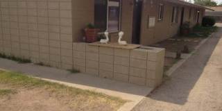 2633 W BELMONT Avenue 2633 W BELMONT Avenue Gallery 1
