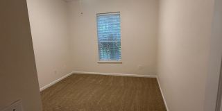 785-1  Oakleaf Plantation Parkway unit 123 Gallery 28