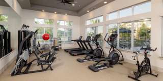 Prose Avalon Pointe Gallery 8