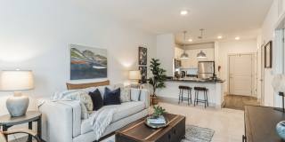 Mountain Creek Gallery 2