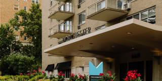 Dorchester Gallery 7