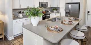 The Reserve Decatur Gallery 2