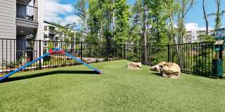 Skye Suwanee Town Center Gallery 36