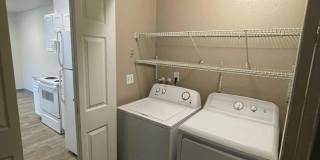 The Signature Gallery 44