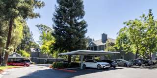 Ygnacio Village Gallery 21