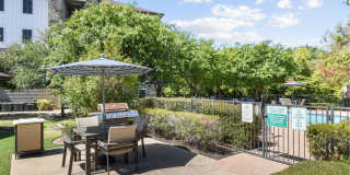 Waller Creekside on 51st Gallery 12