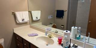 229 Shea Drive Gallery 14