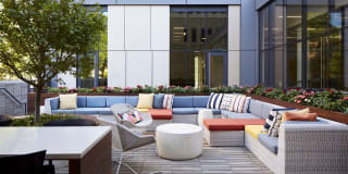 Solstice on the Park Gallery 16