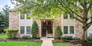 377 Tavistock - 1 Gallery 1
