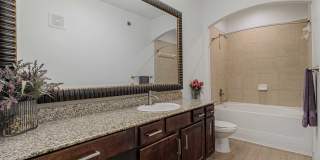 Auxo at Memorial Gallery 12