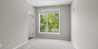 The Serene Gallery 21