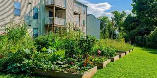 Woodberry Apartments Gallery 22
