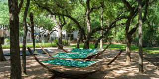 Alister Sunset Valley Gallery 24