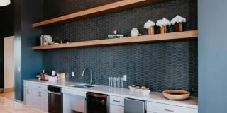 Tanager Tanager Gallery 56