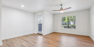 Calista Gallery 8