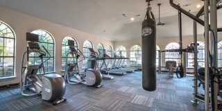 Reserve at Stonebridge Ranch Gallery 11