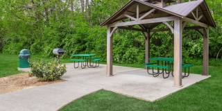 Sussex Downs Gallery 56