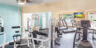 Heron Lake Gallery 21