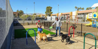 Sundance Village Gallery 19