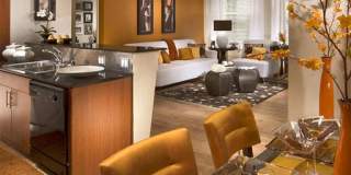 Metro 417 Gallery 38