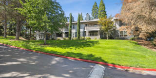 Skyline at Murrayhill Gallery 43